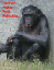 posters81