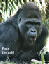 posters902
