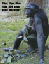 posters903