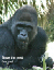 posters907