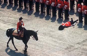 beefeater.jpg - Powered by witze.net!