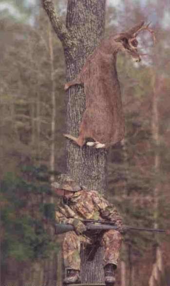 hiding.jpg - Powered by witze.net!