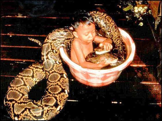 snake_bath.jpg - Powered by witze.net!