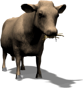 cow.gif