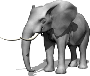 elephant.gif