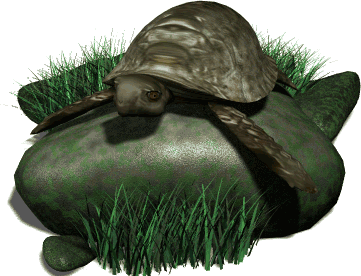 turtle.gif